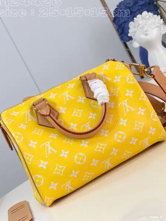 Louis Vuitton SPEEDY 25 0613